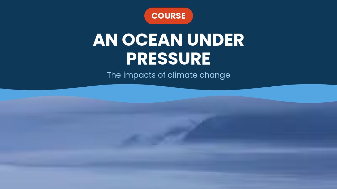 An ocean under pressure – course