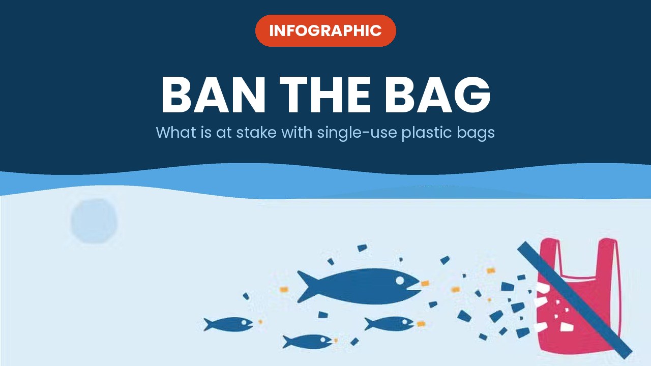 Ban the Bag – infographic