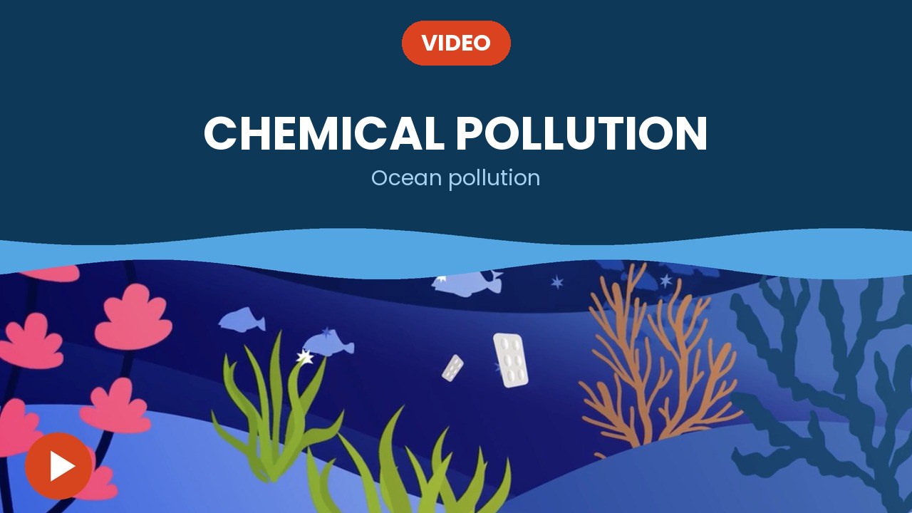Chemical pollution – video