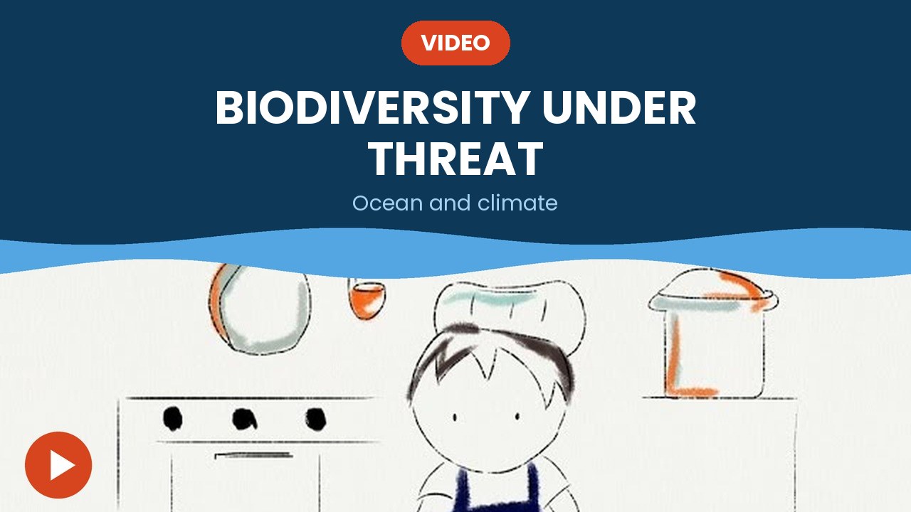 Biodiversity under threat – video