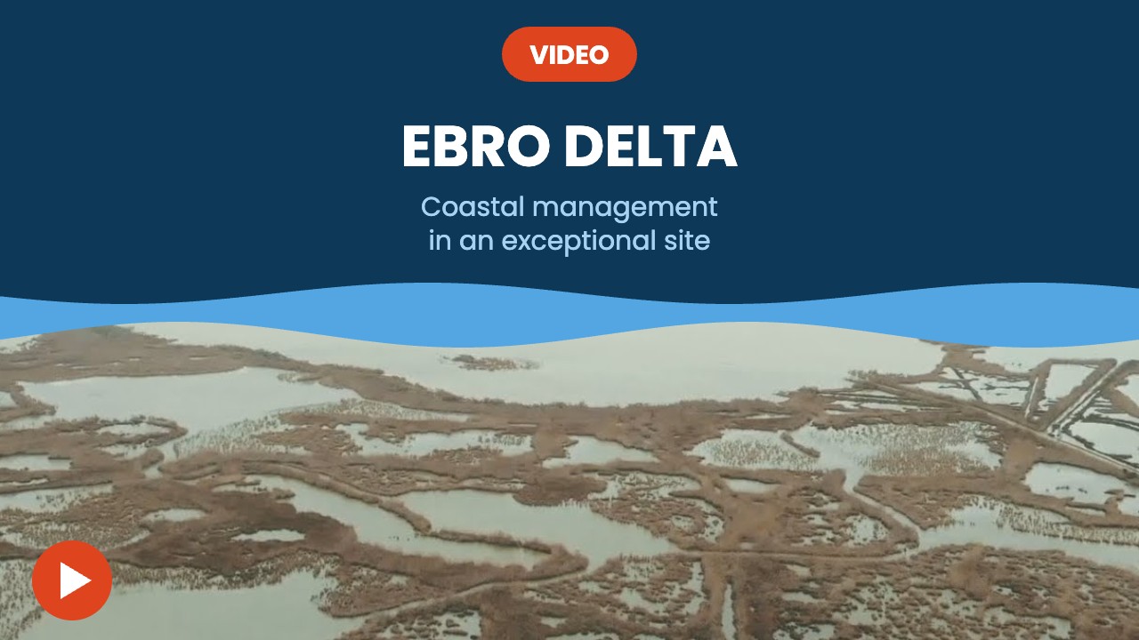 Ebro Delta – video