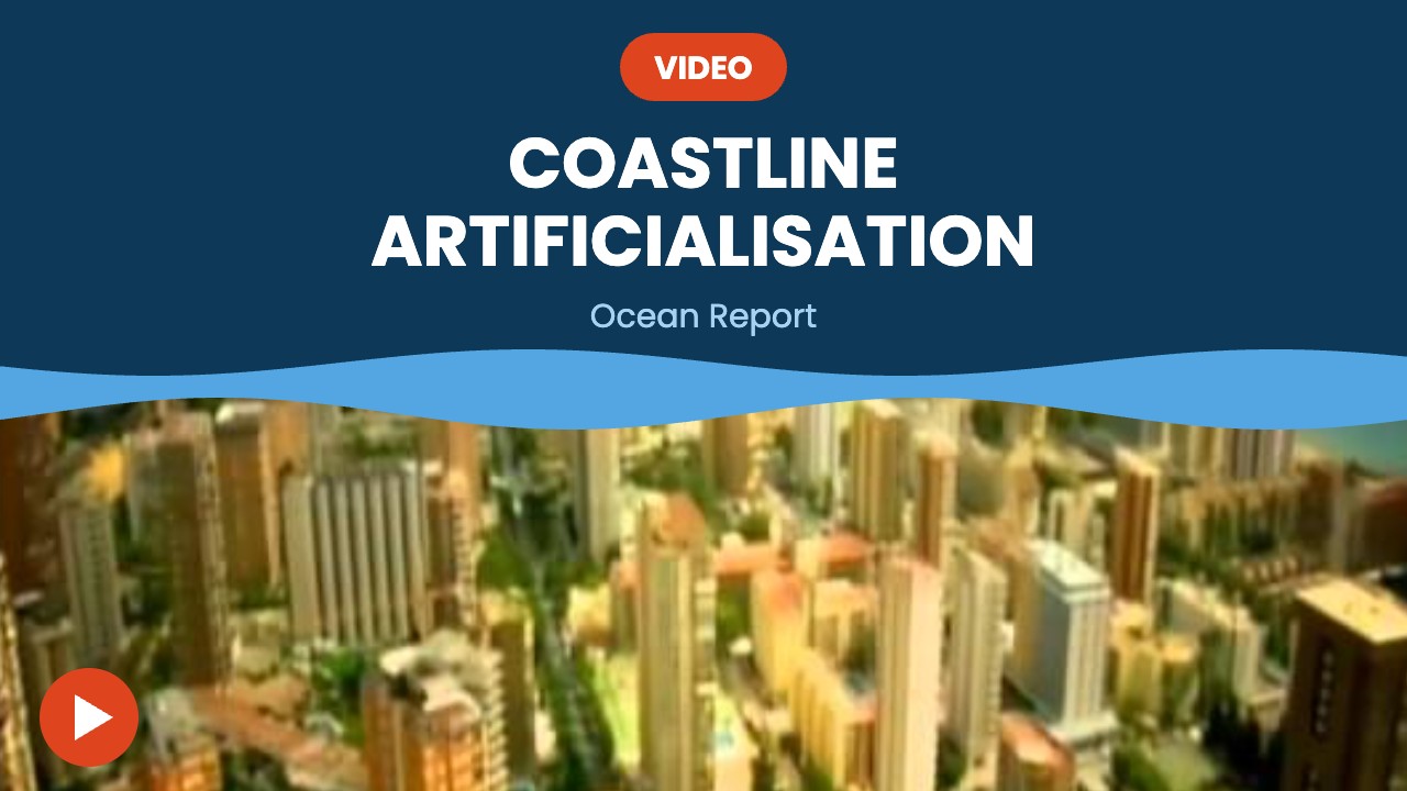 Coastline artificialisation – video
