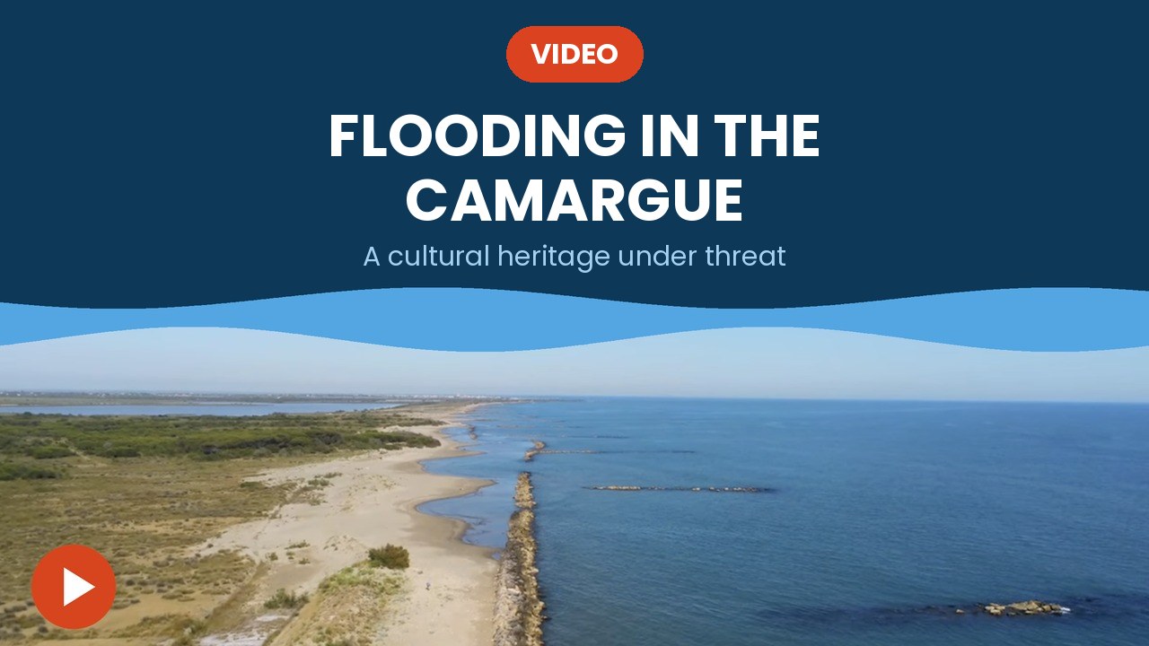 Flooding in the Camargue – video