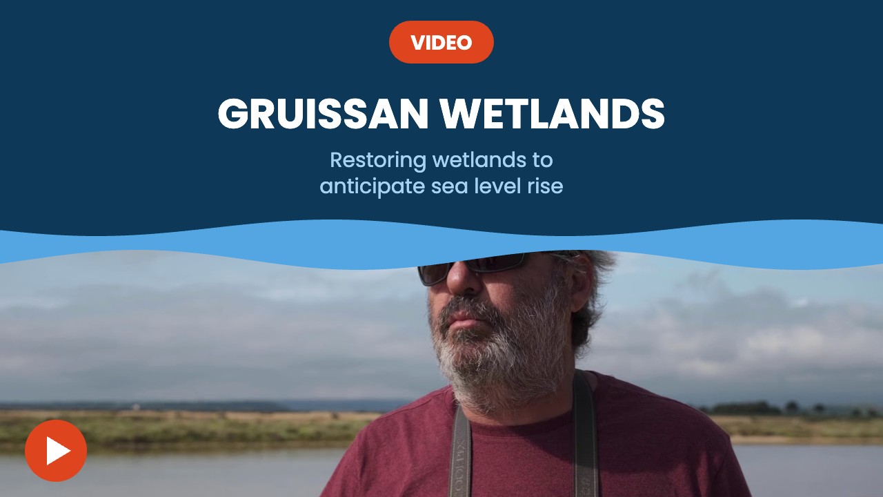 Gruissan wetlands – video