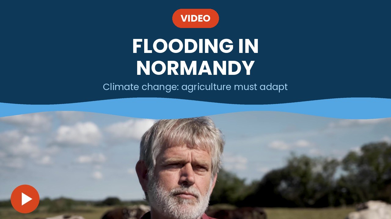 Flooding in Normandy – video