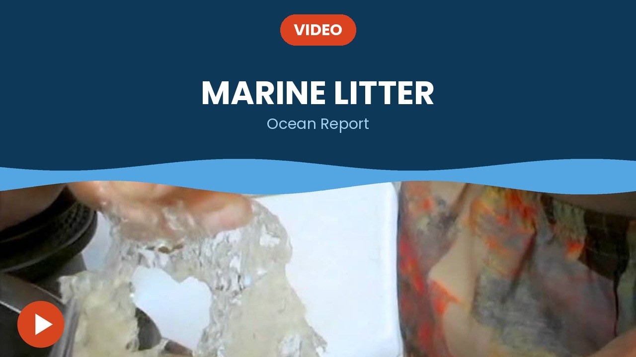 Marine litter – video