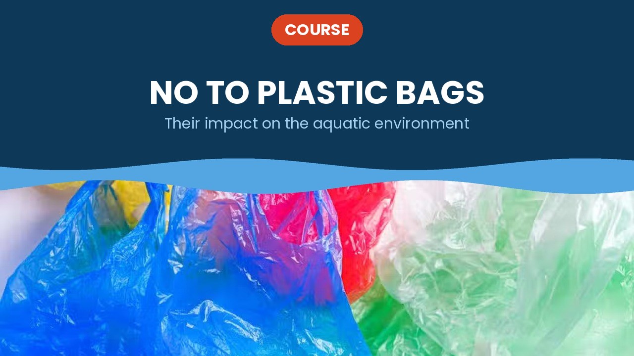 No to plastic bags – course