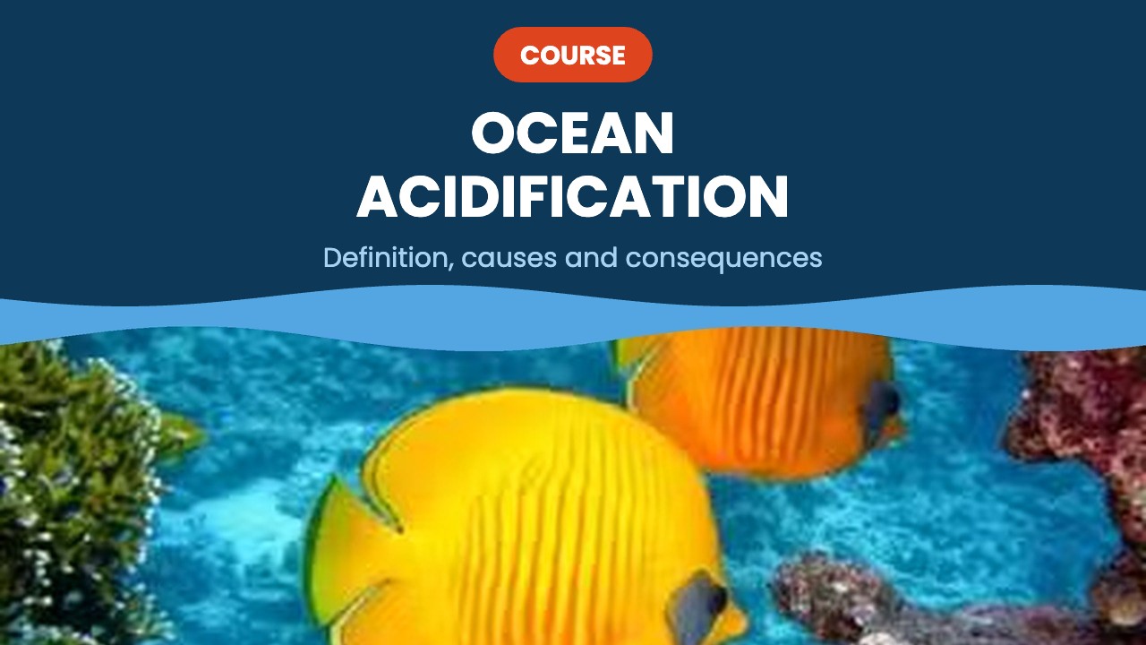 Ocean acidification – course