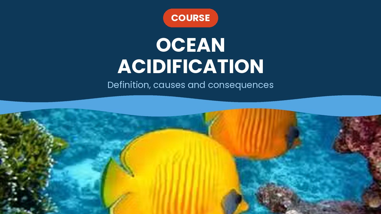 Ocean acidification – course