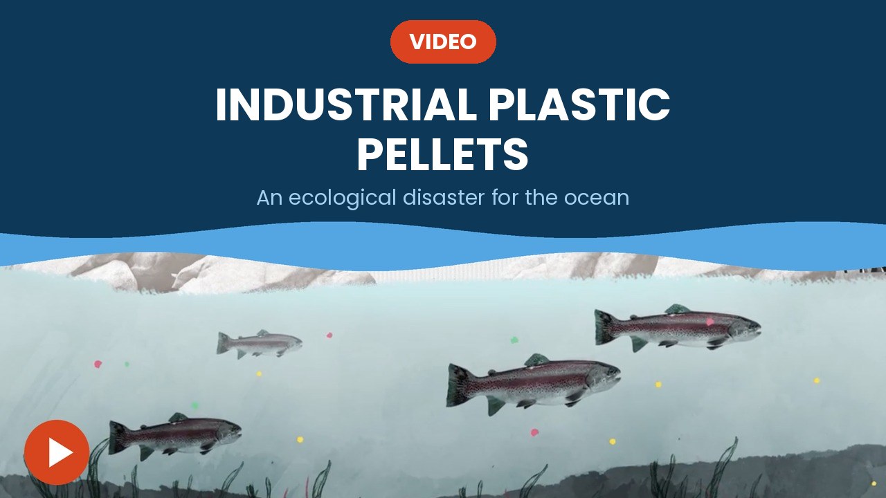 Industrial plastic pellets – video