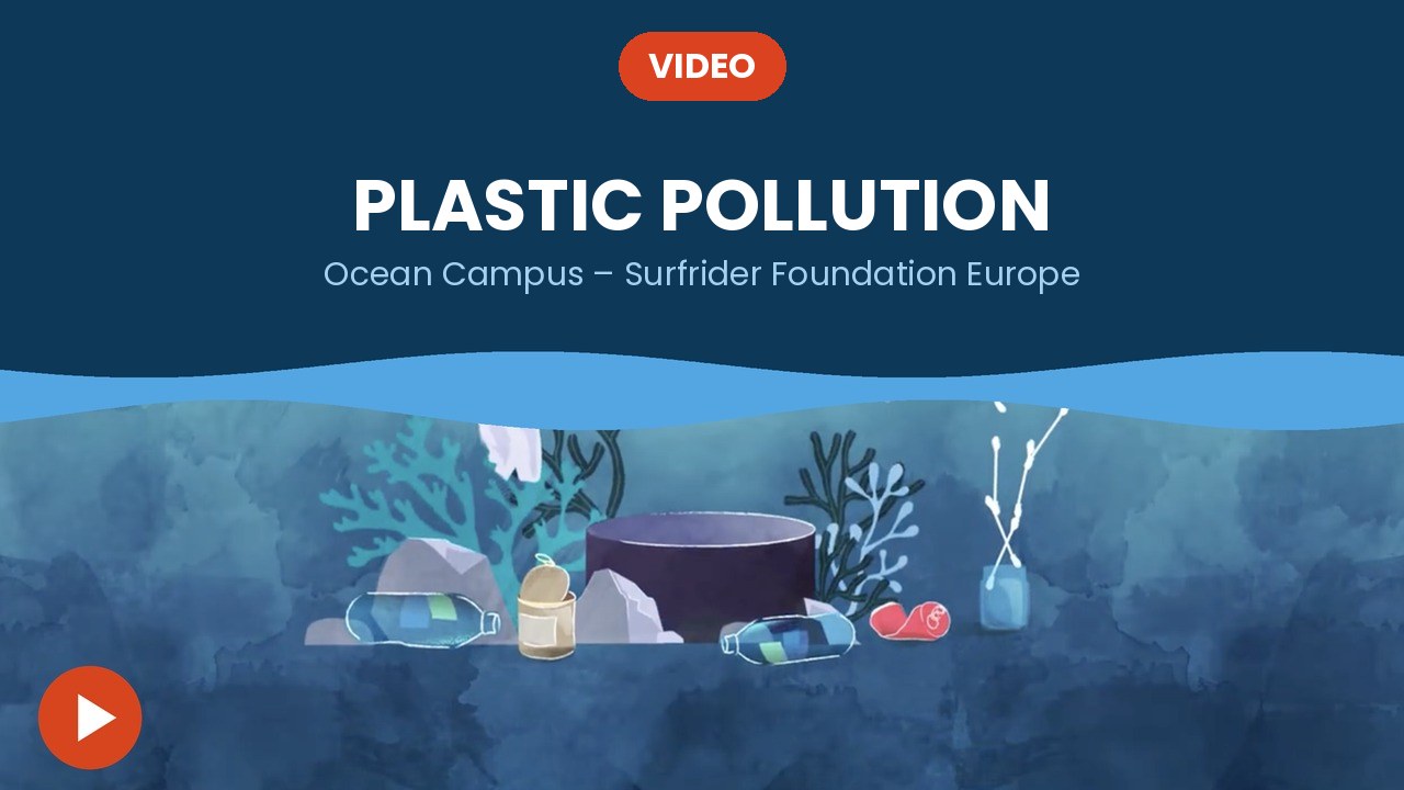 Plastic pollution – video
