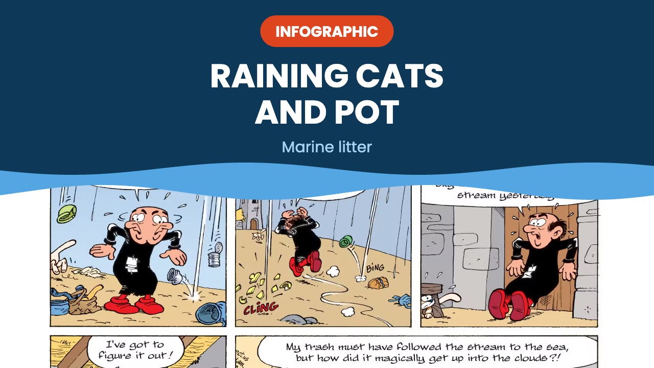 Raining cats and pot – infographic