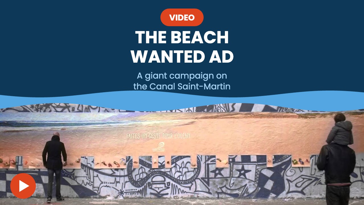 The beach wanted ad – video