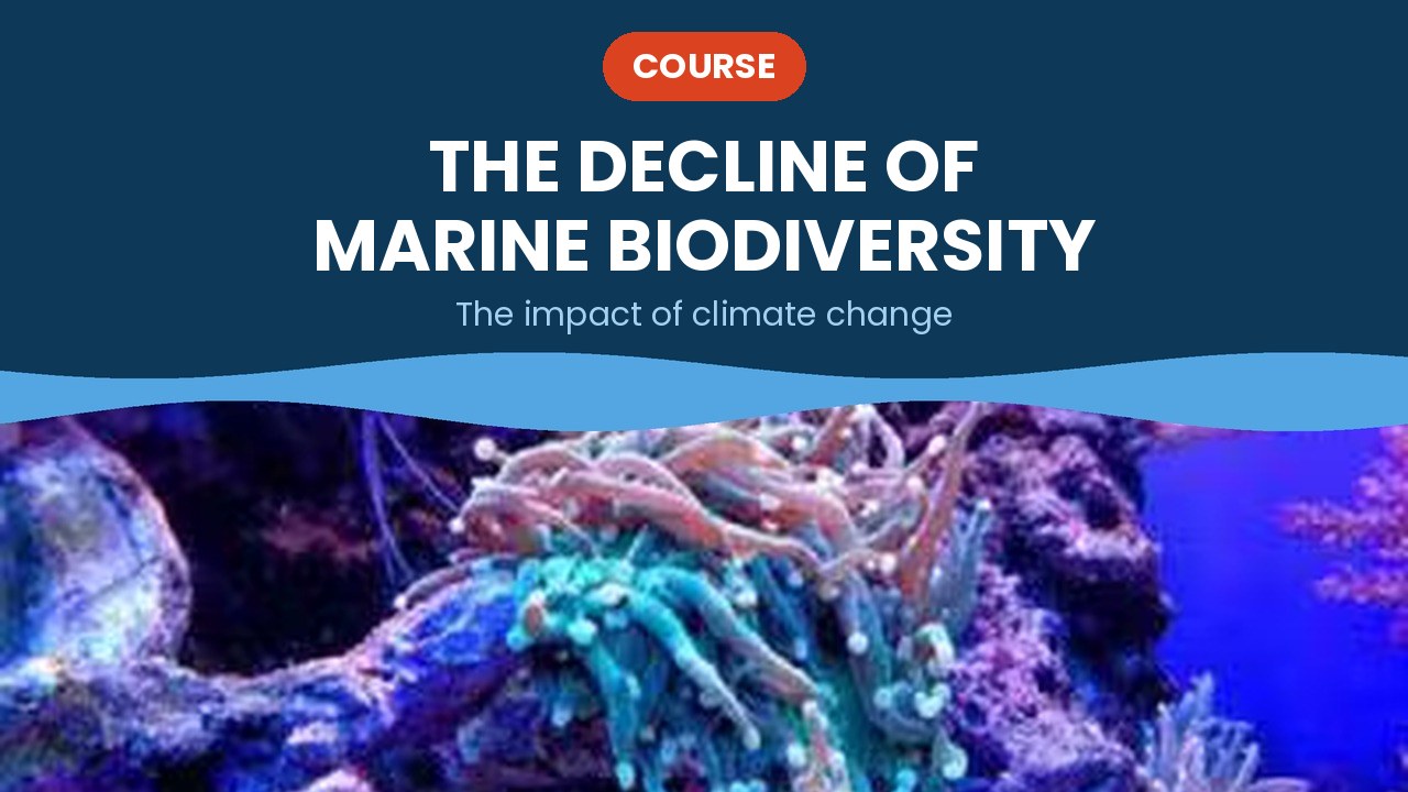 The decline of marine biodiversity – course