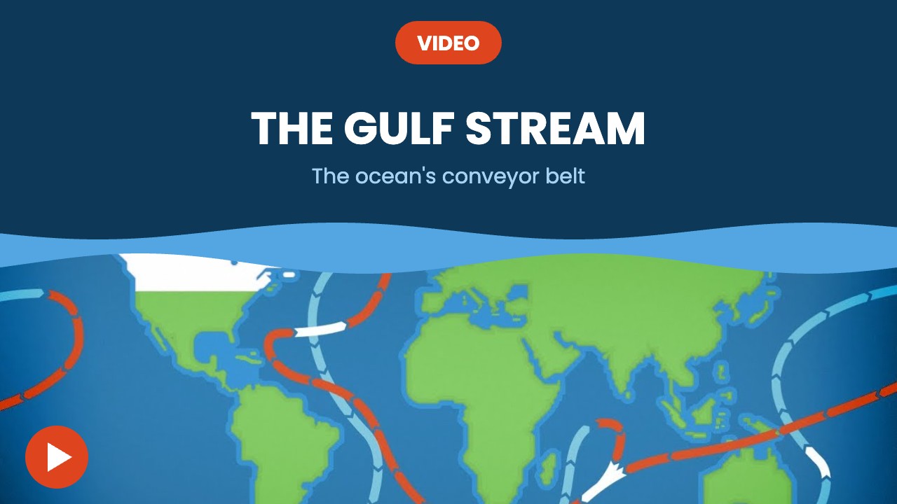The Gulf Stream – video