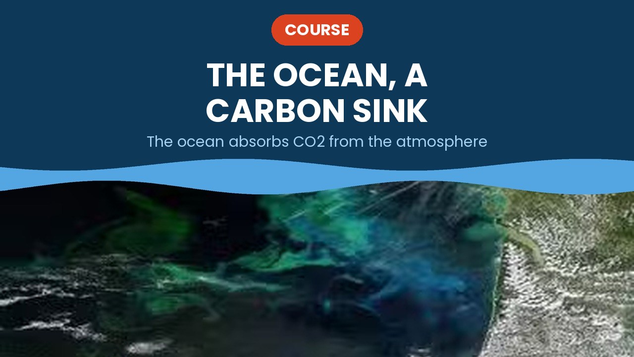 The ocean, a carbon sink – course