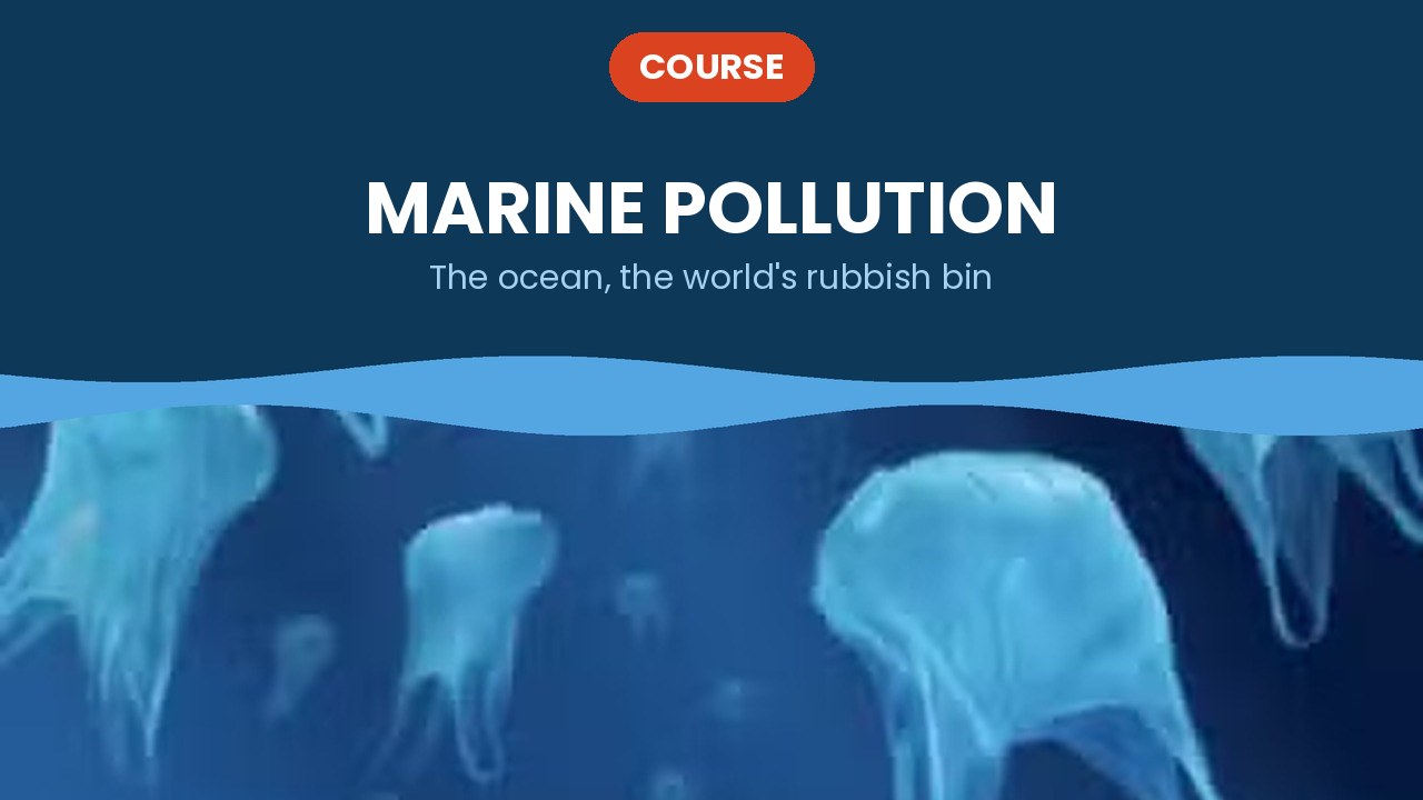 Marine pollution – course