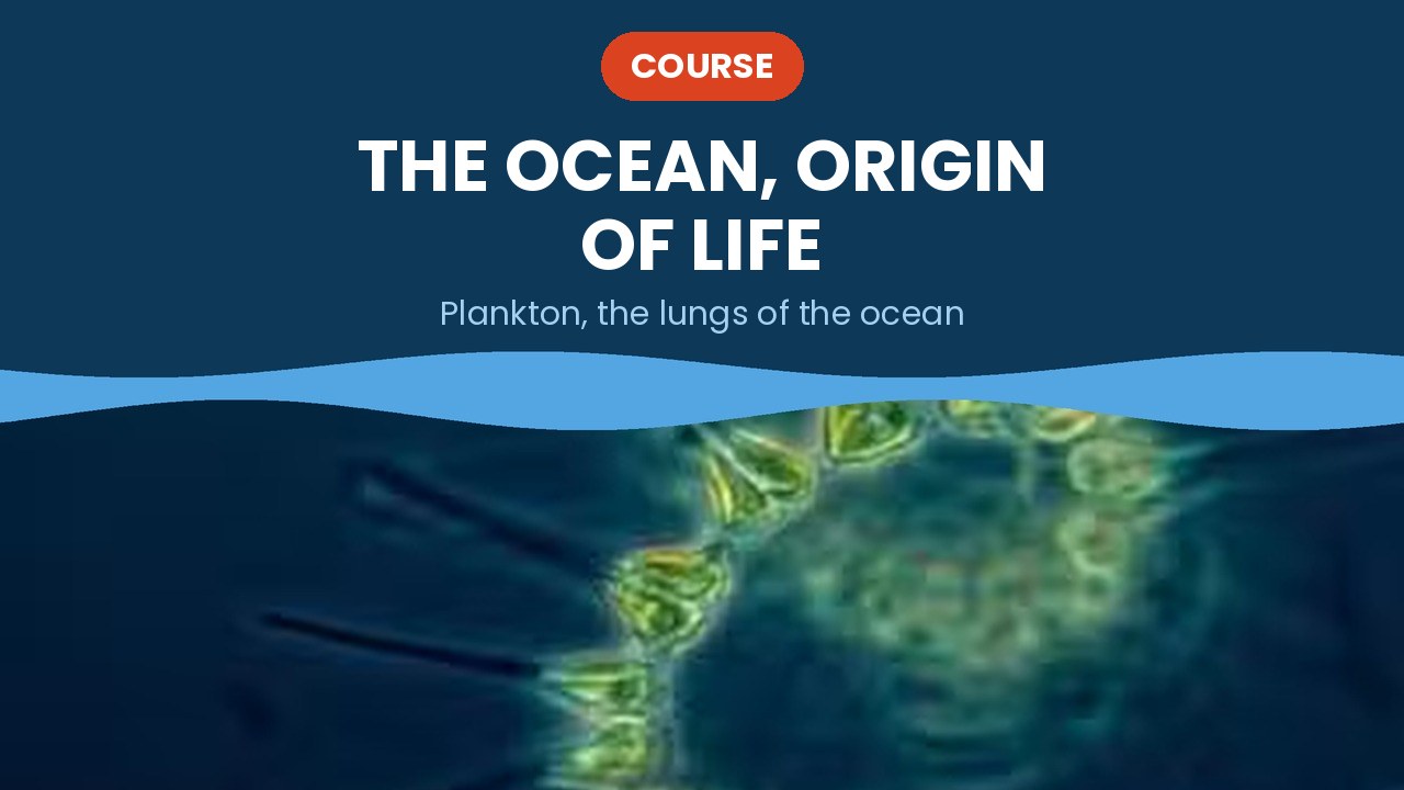The ocean, origin of life – course