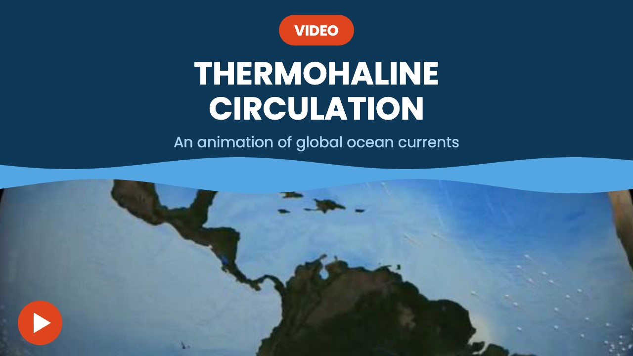 Thermohaline circulation – video
